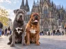 Sozialisierung mitten in Köln