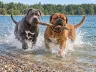 Unsere gemeinsame Zeit am See