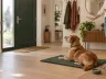 Hund bellt an der Tür: Ursachen und Trainingslösungen