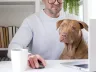 Hund mit ins Büro nehmen: Rechtliche Grundlagen
