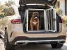 Transportbox fürs Auto: Sicherheit für große Hunde