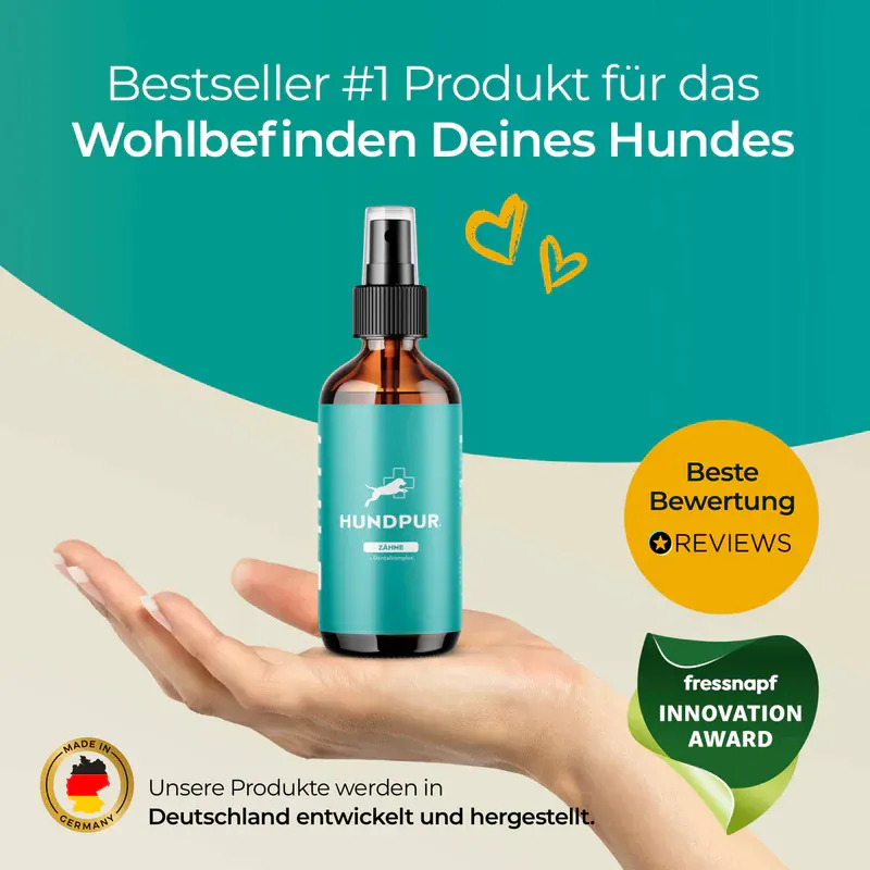 Hundpur Zähne mit Dentalkomplex