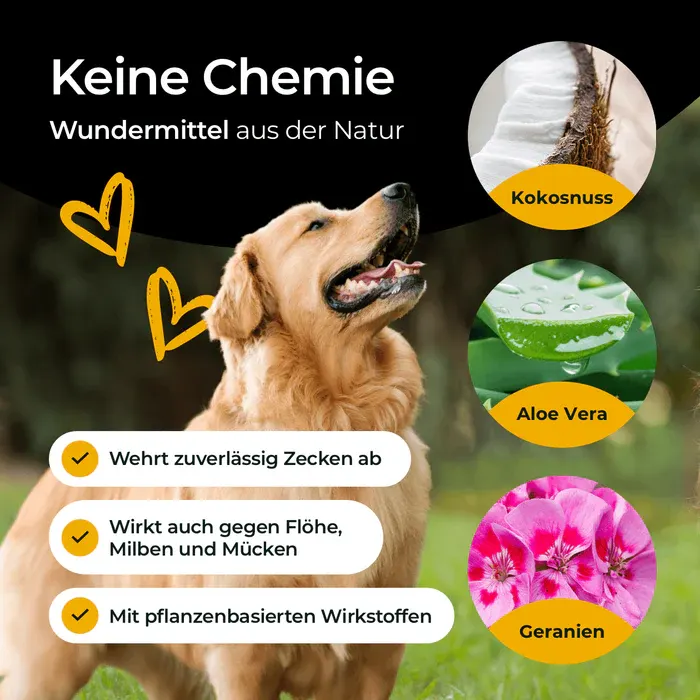 Hundpur Zecken Tinktur mit Schutzkomplex